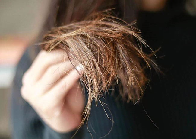 Phục hồi tóc hư tổn không khó khăn đâu Nàng ơi Áp dụng những cách này nhé   Kerina  Dầu Gội  Dầu Xả  Liệu Trình Chăm Sóc Tóc Toàn Diện